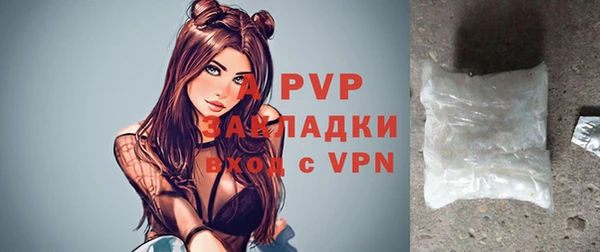 мдпв Ельня