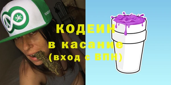 мдпв Ельня