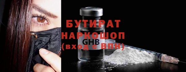 мдпв Ельня