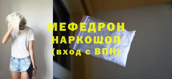мдпв Ельня