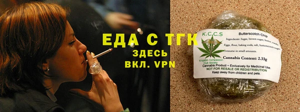 мдпв Ельня