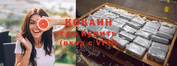 PSILOCYBIN Заводоуковск