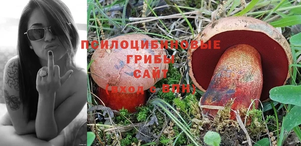 мдпв Ельня