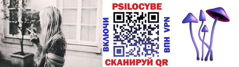 Купить  Ишимбай  Псилоцибиновые грибы Psilocybe 